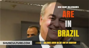 Brazil's Billionaire Count: Unveiling the Nation's Wealthiest Elite