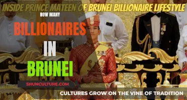 Brunei's Billionaire Club: A Wealthy Elite Circle