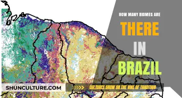 Exploring Brazil's Diverse Biomes: A Comprehensive Count and Overview