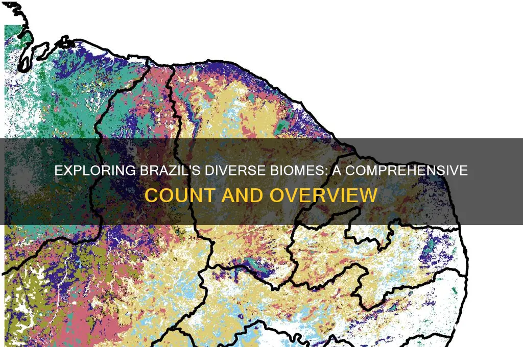 how many biomes are there in brazil