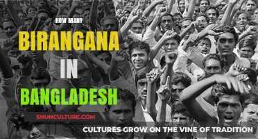 Honoring Bangladesh's Biranganas: Counting the Unsung Heroes of Liberation