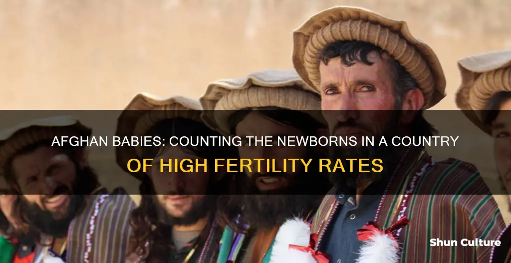 how many births per year in afghanistan