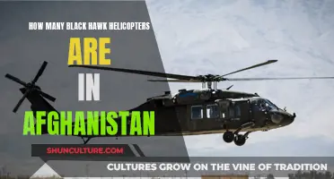 Black Hawk Helicopters: Afghanistan's Vital Air Support