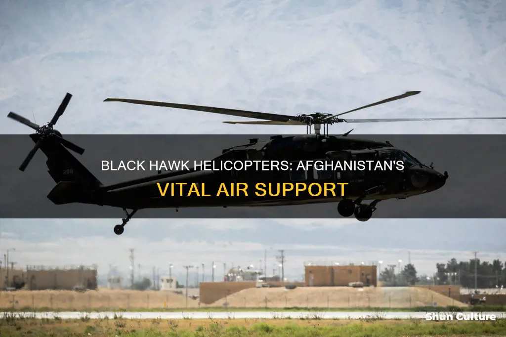 how many black hawk helicopters are in afghanistan