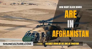 Black Hawk Presence in Afghanistan: Examining the Numbers