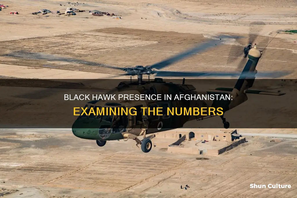 how many black hawks are in afghanistan