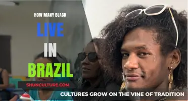 Exploring Brazil's Afro-Descendant Population: A Comprehensive Demographic Overview