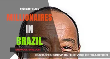 Exploring Brazil's Black Millionaire Population: Numbers and Insights