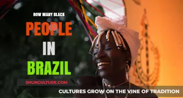 Exploring Brazil's African Diaspora: Population Insights and Cultural Impact
