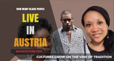 Exploring Austria's Black Population: Numbers and Diversity