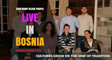 Black Population in Bosnia: Exploring Demographics and Cultural Presence