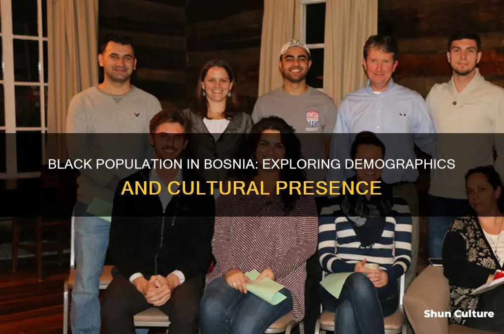 how many black people live in bosnia