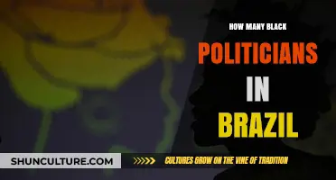 Black Representation in Brazil: Counting Politicians of African Descent