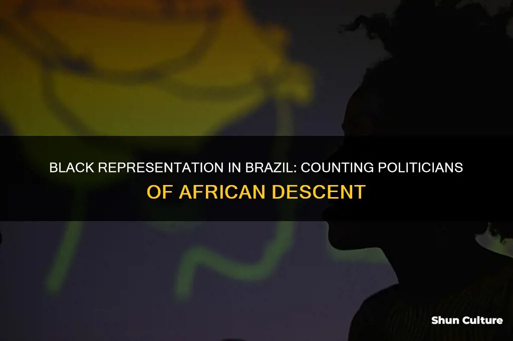 how many black politicians in brazil
