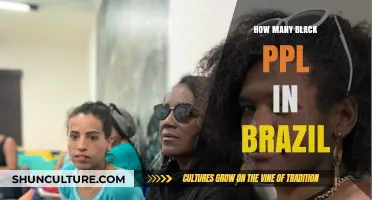 Exploring Brazil's Afro-Descendant Population: A Comprehensive Demographic Overview