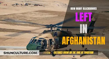 Blackhawks' Legacy in Afghanistan: Counting the Remaining Helicopters