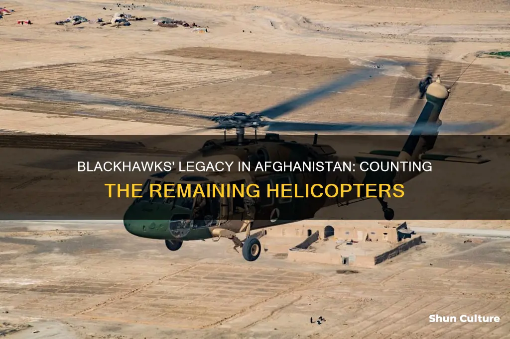 how many blackhawks left in afghanistan