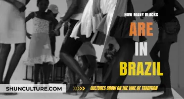Exploring Brazil's African Heritage: Understanding the Black Population