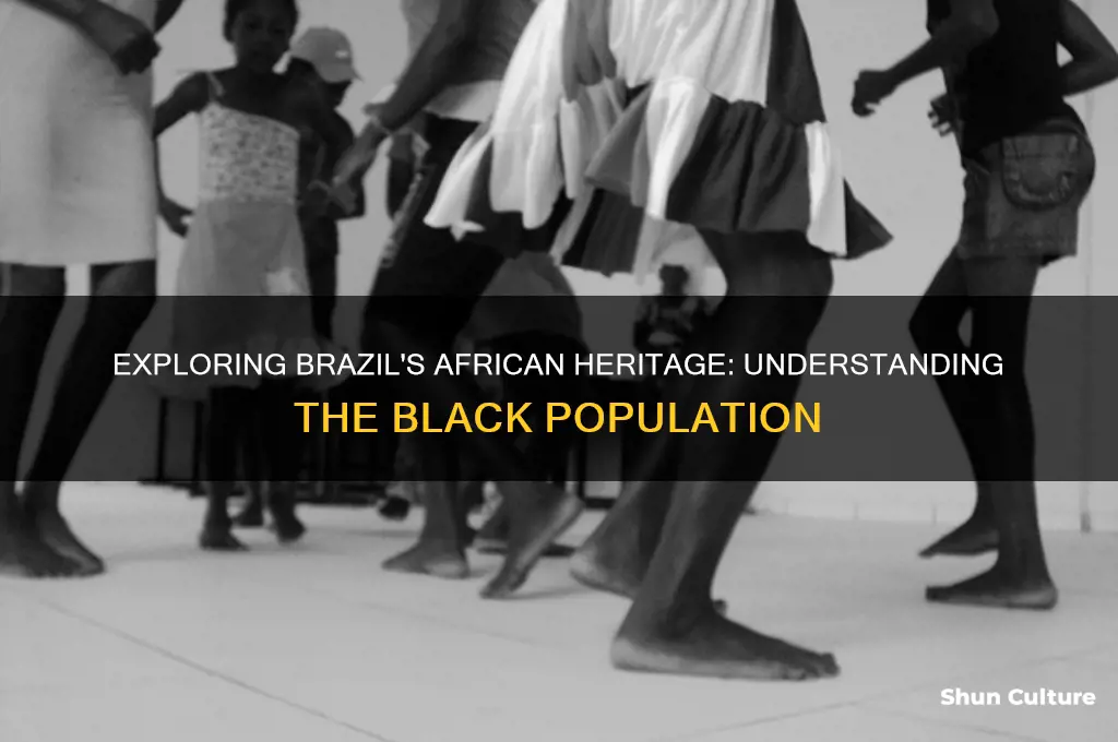 how many blacks are in brazil