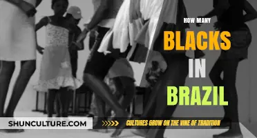 Exploring Brazil's African Heritage: Understanding the Black Population
