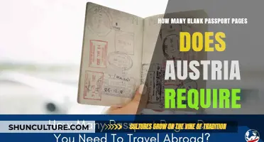 Austria's Passport Page Rules: What You Need to Know