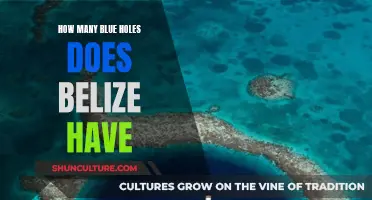 The Blue Hole Mystery of Belize