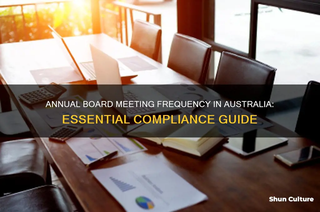 how many board meetings required in a year australia