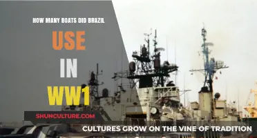 Brazil's Naval Contribution: Boat Deployment in World War I