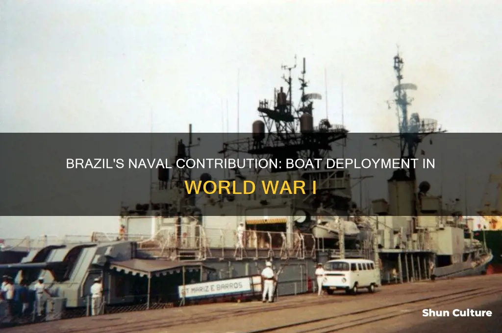 how many boats did brazil use in ww1