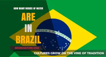 Exploring Brazil's Diverse Bodies of Water: A Comprehensive Guide