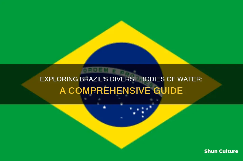 how many bodies of water are in brazil