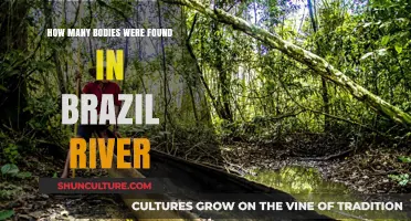 Shocking Discovery: Bodies Found in Brazil River Raise Alarms
