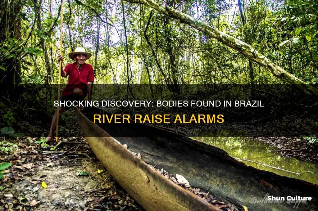 how many bodies were found in brazil river
