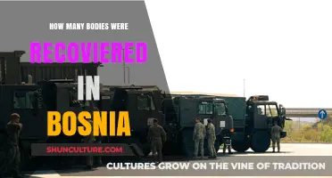 Bosnia's Recovered Bodies: Unveiling the Tragic Toll of War