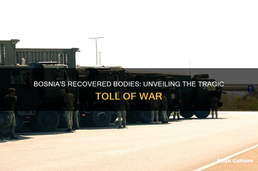 how many bodies were recoviered in bosnia