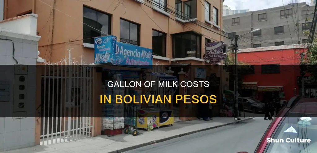 how many bolivian pesos is a gallon of milk