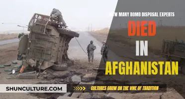 Afghanistan's Deadly Legacy: The Toll on Bomb Disposal Heroes