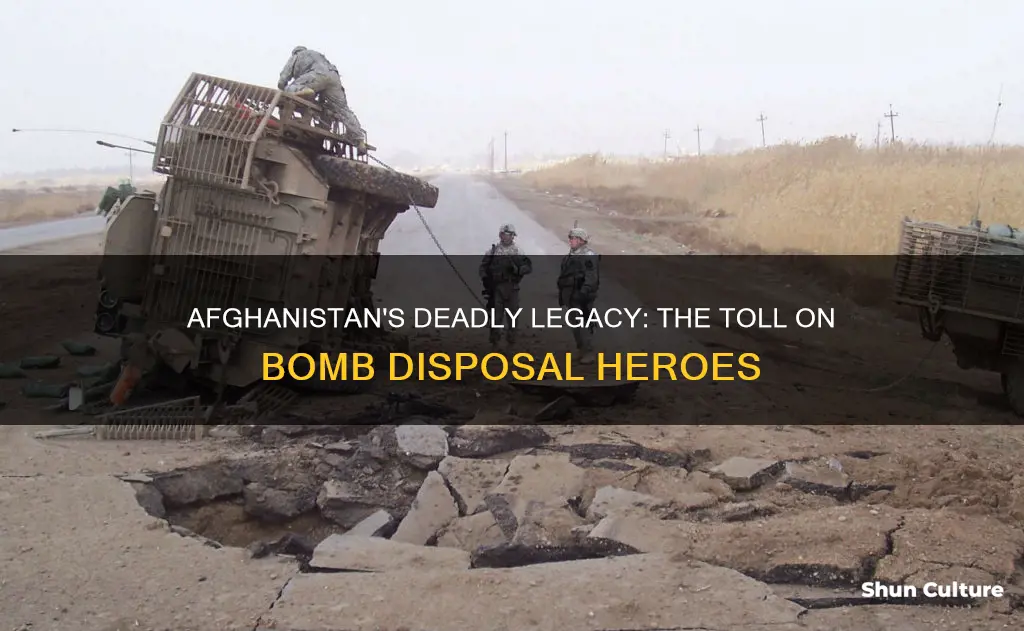 how many bomb disposal experts died in afghanistan