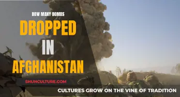 A Decade of Destruction: The Devastating Toll of Airstrikes in Afghanistan