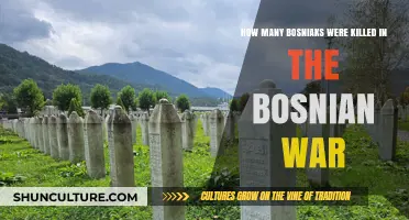 Bosnian War Casualties: The Devastating Toll on Bosniak Lives
