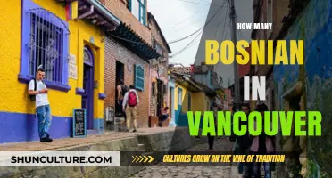 Bosnian Community in Vancouver: Population Insights and Cultural Presence