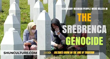 Srebrenica Genocide: Uncovering the Devastating Loss of Bosnian Lives