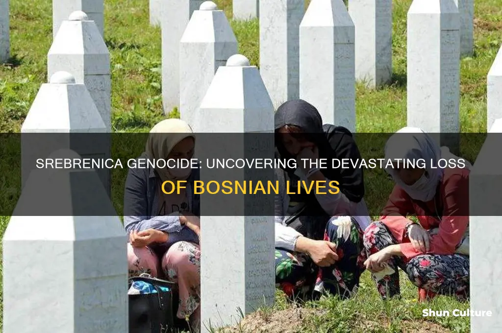how many bosnian people were killed in the srebrenca genocide