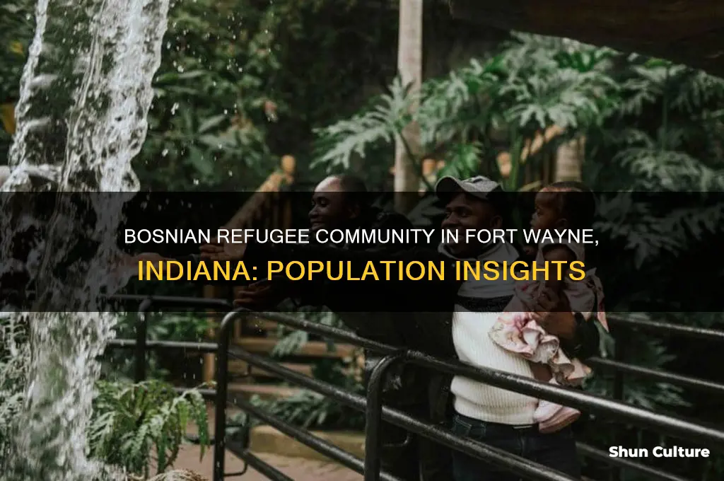 how many bosnian refugees are in ft wayne in