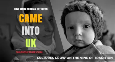 Bosnian Refugee Influx: UK's Response to the 1990s Crisis