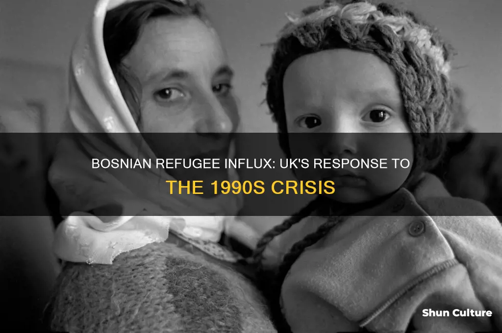 how many bosnian refugees came into uk