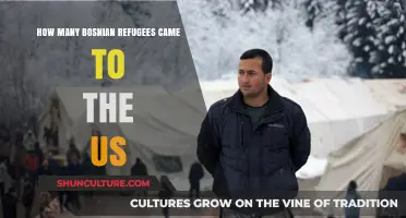 Bosnian Refugee Resettlement: Understanding US Immigration During the Balkan War