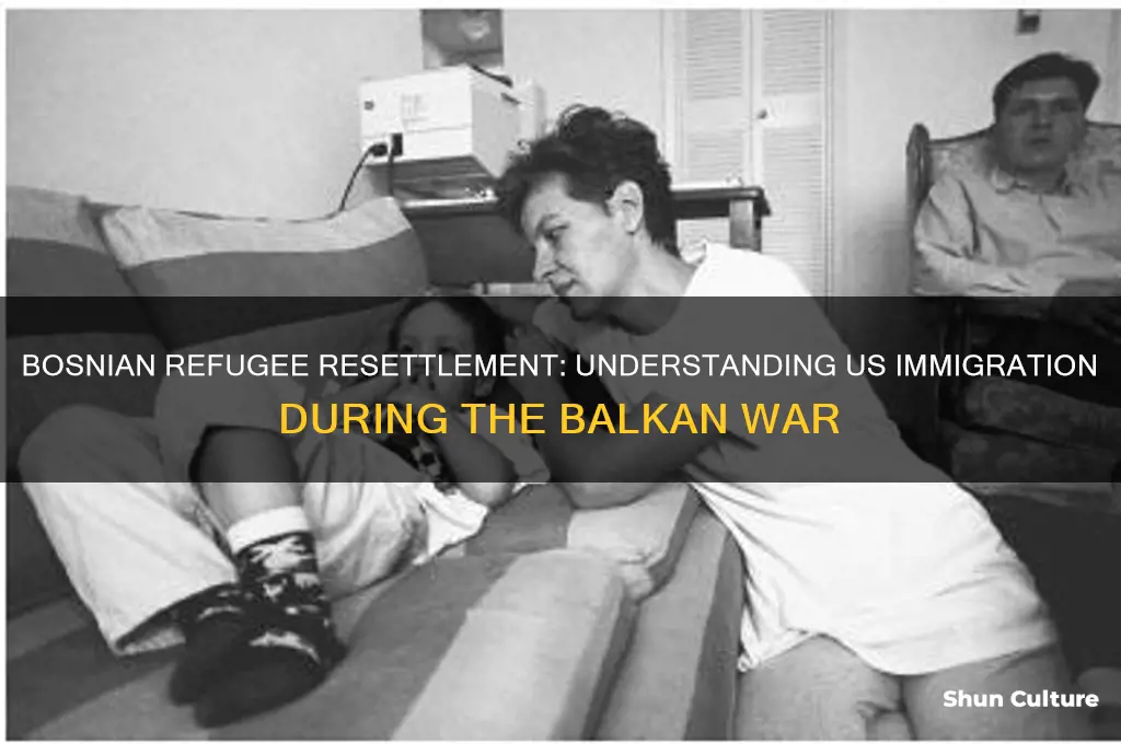 how many bosnian refugees came to the us