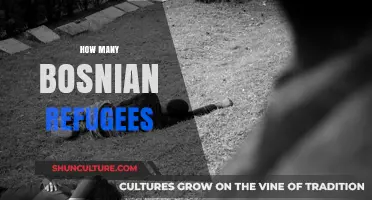 Bosnian Refugee Crisis: Understanding the Scale and Impact of Displacement
