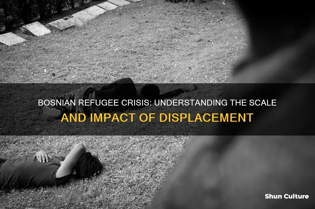 how many bosnian refugees